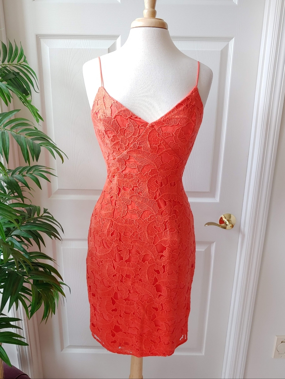 Guess Coral Orange Lace Cocktail Mini Dress Size 6